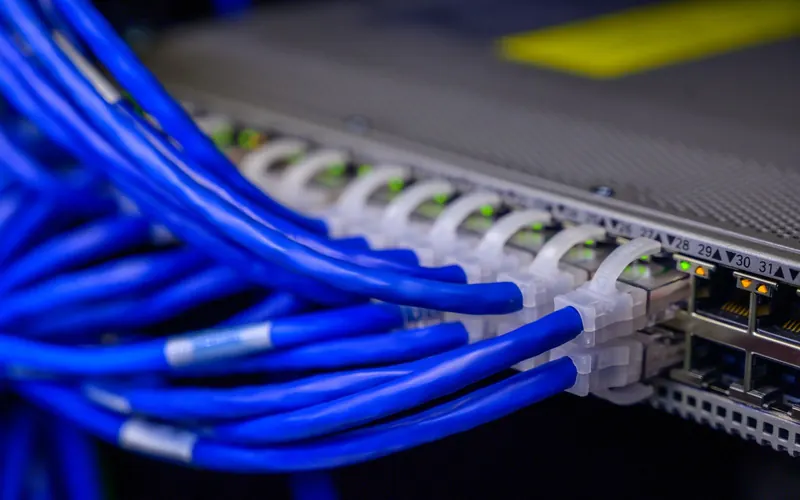 Cables de red conectados a un switch